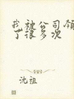 我被公司领导C了很多次