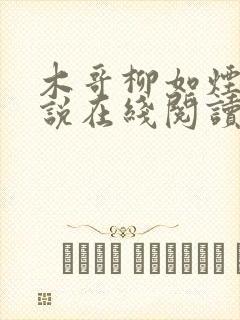 木哥柳如烟的小说在线阅读