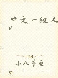 中文一级人妻av