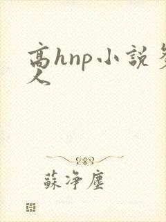 高hnp小说多人