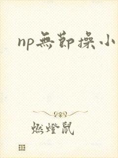 np无节操小说封面