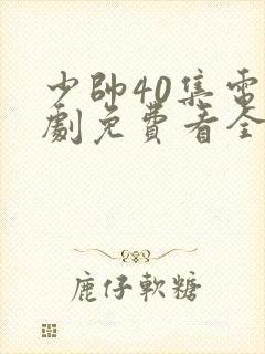 少帅40集电视剧免费看全集封面