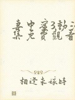 妻中蜜3动漫全集免费观看