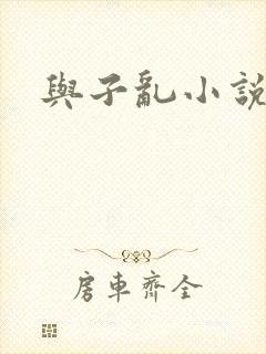 与子乱小说