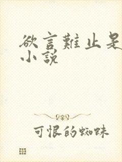 欲言难止是什么小说