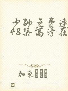 少帅免费连续剧48集高清在线观看