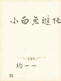 小白兔进化史封面