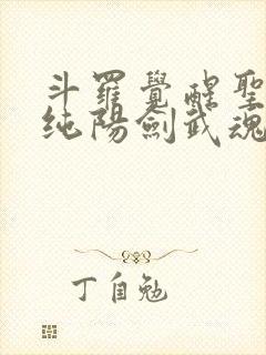 斗罗觉醒圣主和纯阳剑武魂