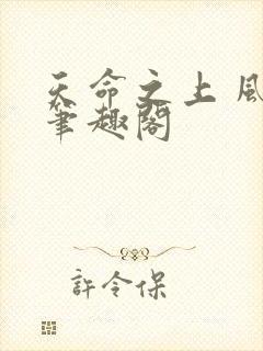 天命之上 风月笔趣阁