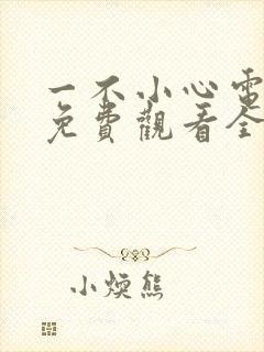 一不小心电视剧免费观看全集