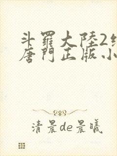 斗罗大陆2绝世唐门正版小说