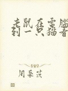 老鼠在电脑里看到一只猫看图写话封面