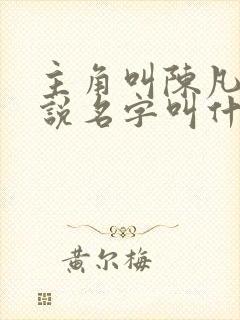 主角叫陈凡的小说名字叫什么