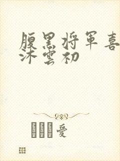 腹黑将军喜当爹沐云初