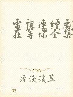 电视连续剧妈妈在等你全集