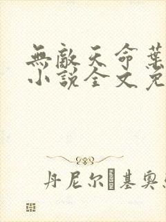 无敌天命叶天命小说全文免费阅读