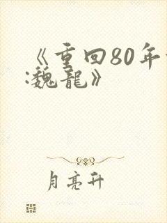 《重回80年代:魏龙》