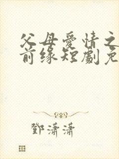 父母爱情之再续前缘短剧免费观看全集