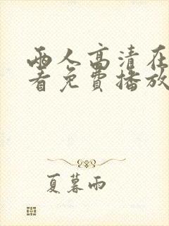 两人高清在线观看免费播放电视剧网封面