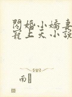 闪婚小娇妻大叔宠上天小说全文免费阅读