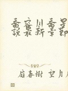 乔容川乔星叶小说最新章节