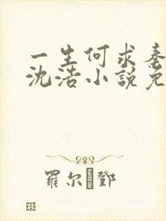 一生何求秦菲雪沈浩小说免费阅读全文封面