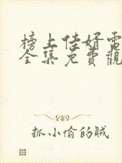 榜上佳婿电视剧全集免费观看高清2025在线