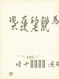 现在的猫为什么不捉老鼠