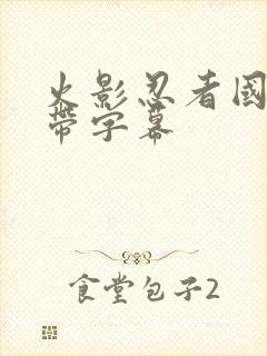 火影忍者国语版带字幕