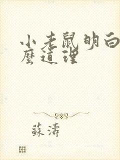 小老鼠明白了什么道理封面