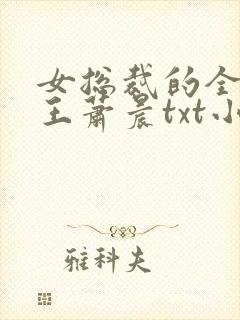 女总裁的全能兵王萧晨txt小说下载