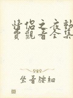 情侣之夜动漫免费观看全集高清