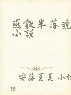 燕钗半落琥珀糖小说