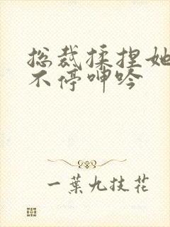 总裁揉捏她两乳不停呻吟