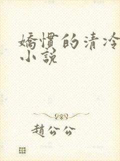 娇惯的清冷美人小说
