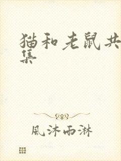 猫和老鼠共多少集