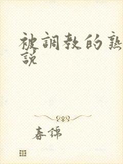 被调教的熟妇小说封面