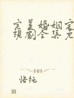 完美婚姻定式电视剧全集免费观看封面