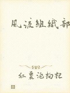 风流组织部长封面