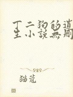 丁二狗的逍遥人生小说无删减