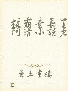 校霸竟长了个批阿清小说免费阅读最