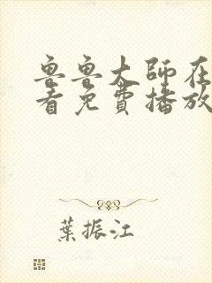 鲁鲁大师在线观看免费播放电视剧