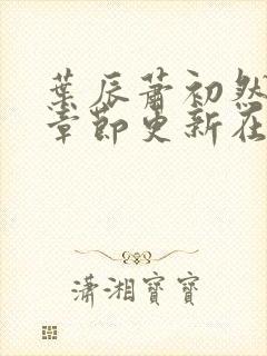 叶辰萧初然最新章节更新在线阅读