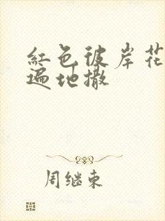 红色彼岸花花瓣遍地撒