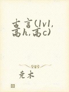 古言(1v1,高h,高c)