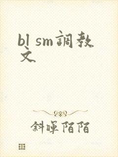 bl sm调教文封面
