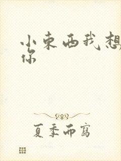 小东西我想弄坏你