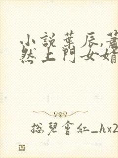 小说叶辰,萧初然上门女婿封面