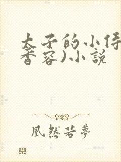 太子的小侍妾(香容)小说封面