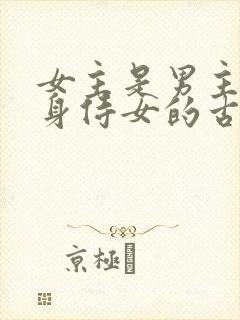 女主是男主的贴身侍女的古言